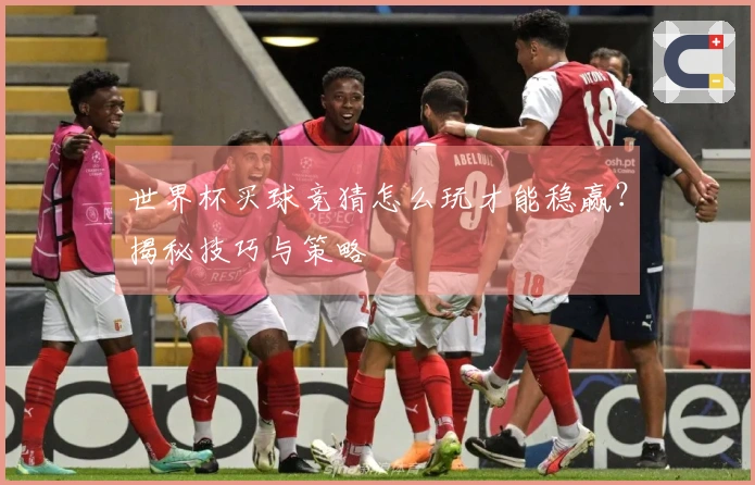 世界杯买球竞猜怎么玩才能稳赢？揭秘技巧与策略