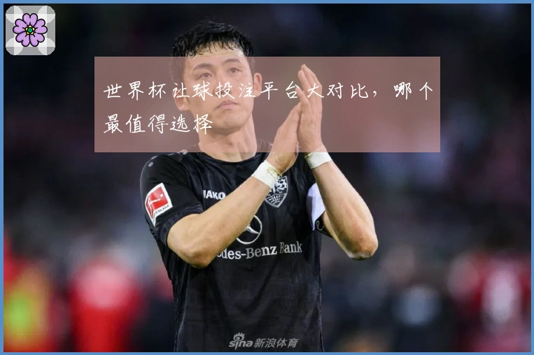 世界杯让球投注平台大对比，哪个最值得选择