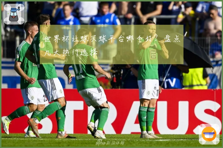 世界杯让球买球平台哪个好？盘点几大热门选择