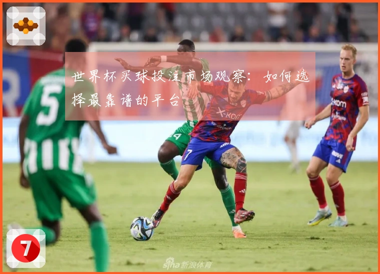 世界杯买球投注市场观察：如何选择最靠谱的平台