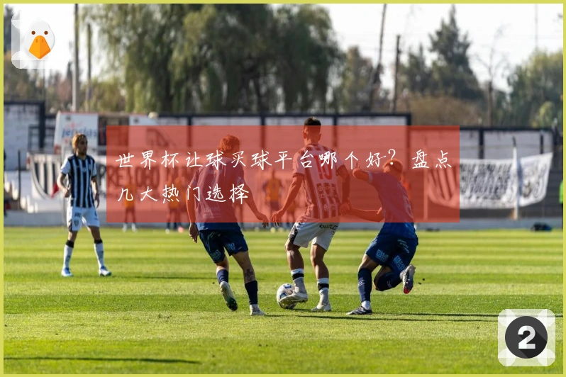 世界杯让球买球平台哪个好？盘点几大热门选择