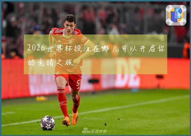 2026世界杯投注在哪儿可以开启你的竞猜之旅