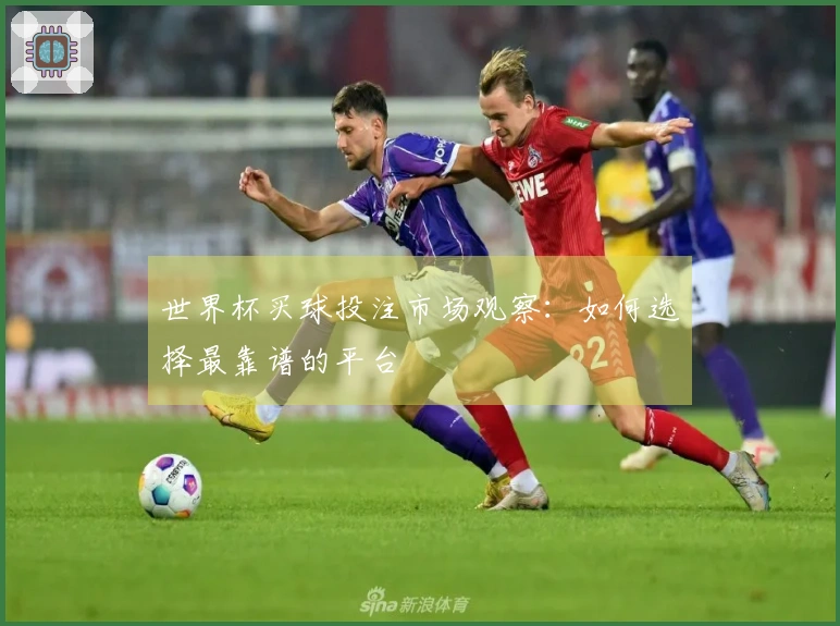 世界杯买球投注市场观察：如何选择最靠谱的平台