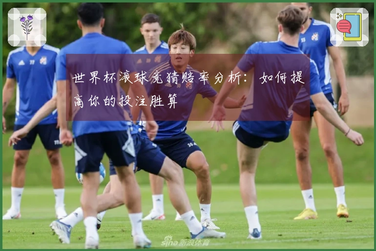 世界杯滚球竞猜赔率分析：如何提高你的投注胜算