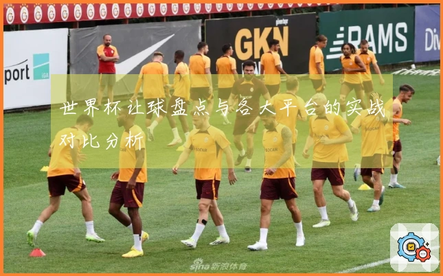 世界杯让球盘点与各大平台的实战对比分析