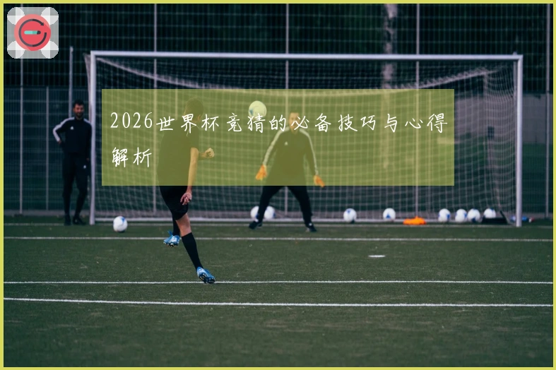2026世界杯竞猜的必备技巧与心得解析