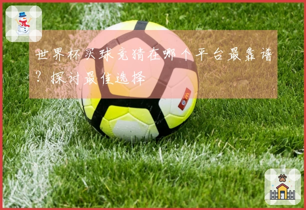 世界杯买球竞猜在哪个平台最靠谱？探讨最佳选择
