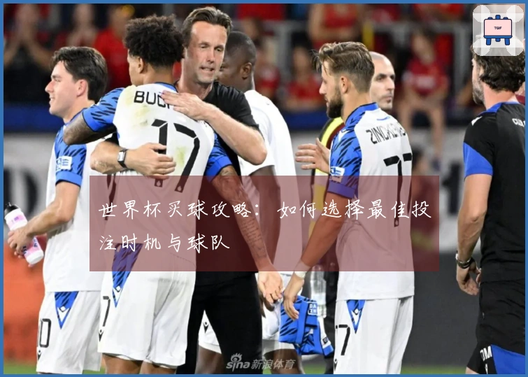 世界杯买球攻略：如何选择最佳投注时机与球队
