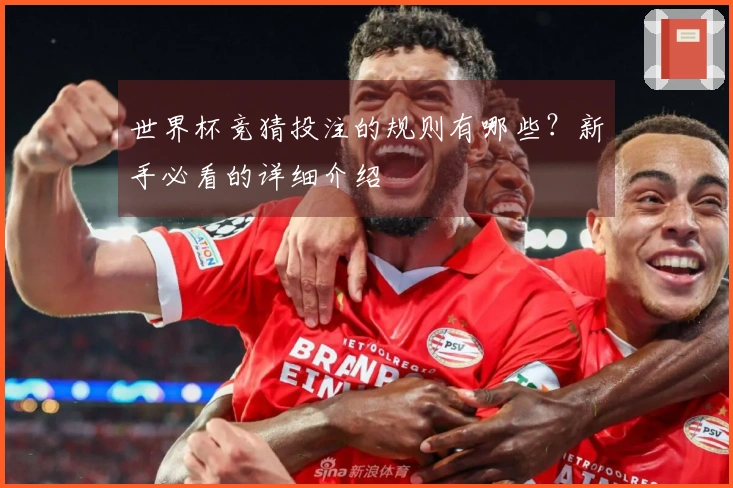 世界杯竞猜投注的规则有哪些？新手必看的详细介绍