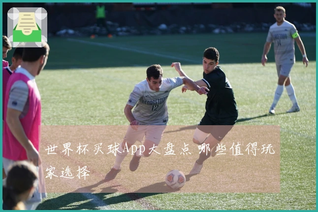 世界杯买球App大盘点 哪些值得玩家选择