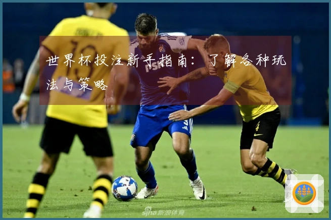 世界杯投注新手指南：了解各种玩法与策略