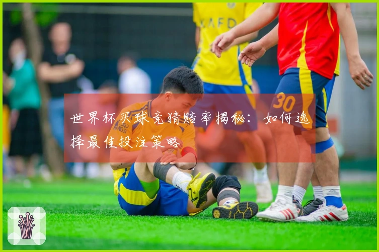 世界杯买球竞猜赔率揭秘：如何选择最佳投注策略