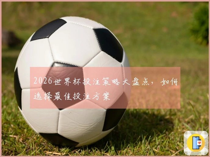 2026世界杯投注策略大盘点，如何选择最佳投注方案