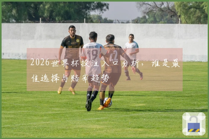 2026世界杯投注入口分析，谁是最佳选择与赔率趋势